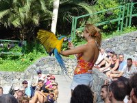 Aves Del Paraiso, шоу с птицами